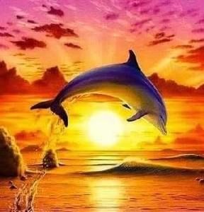 Meet your Posher, Paty